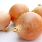 Продаю крупный лук оптом фото