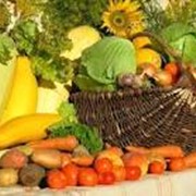 Продукты сельскохозяйственные фото