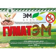 Удобрение минеральное “ГУМАТЭМ“ для защиты растений, 250 мл фото