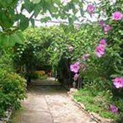 Комната отдыха в гостинице фото