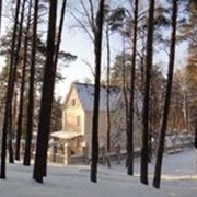 Активный отдых на природе фото