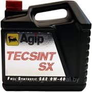 Agip Tecsint SX 0W-40 4L фото