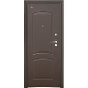 Двери входные домовые Toodoors Premium 02-02 фото