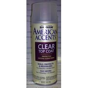 Лак матовый защитный RustOleum Clear Top Coat фото