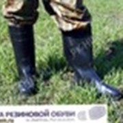 Сапоги охотничьи фото