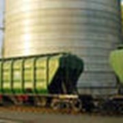 Грунт водорастворимый фото