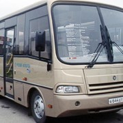 Автобус ПАЗ-3203 фото