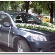 Оформление свадебных автомобилей фото