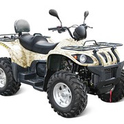 Квадроцикл Stels ATV 500 GT фото