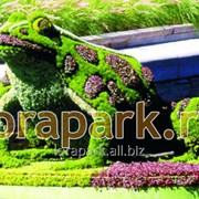 Каркас топиарной фигуры Лягушка фото