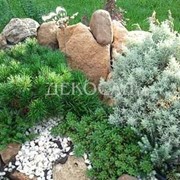 Дизайн каменистых сооружений фото