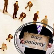 Трудоустройство фото