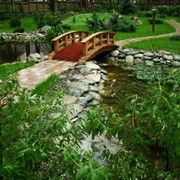 Дизайн ландшафтный фото