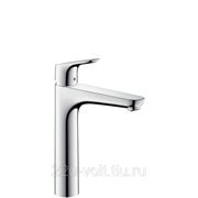 Смеситель Hansgrohe Focus 31608000 фото
