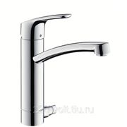 Смеситель Hansgrohe Focus 31803000 фото