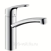 Смеситель Hansgrohe Focus e2 31806000 фото
