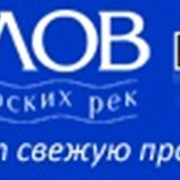 Услуги по экспорту в страны Евросоюза фото