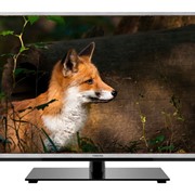 Телевизор TOSHIBA 32TL963RB фото