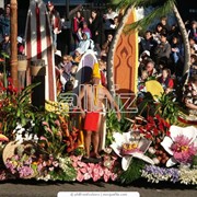 Услуги по организации выставок фото