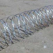 Колючая проволока Егоза, АКЛ, АСКЛ. СББ, ПББ фото