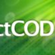 Интернет решение DirectCOD фото