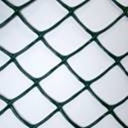 Пластиковая сетка Белрегионснаб С50х74/2,5х20 фото