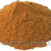 Корица молотая 50 гр. фото