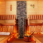 Печь-каменка Sawo TOWER фото