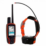 Система слежения за собаками Astro 320/T5 Combo Rus фото