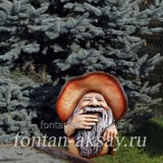 Боровичок-лесовичок фото