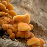 Консультации фото