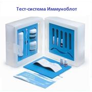 Тест-система Иммуноблот фото