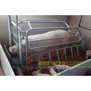 Станки индивидуальные для опороса фото