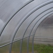 Теплица / парник Гарант-Триумф дуги 40х20 4метра фото