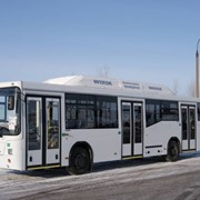 Автобусы городские НЕФАЗ-5299-0000030-32 фото
