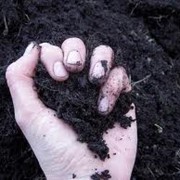 Удобрения органические фото