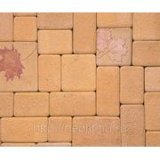 Искусственный камень ФОРЛЭНД Брусчатка кленовый лист фото
