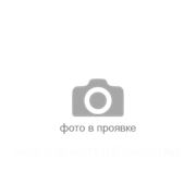 Селена Титан Титан для экстренного ремонта кровли (Professional) герметик (1 кг) бесцветный фото