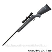 GAMO Big Cat 1250 фото