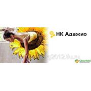 НК Адажио фото