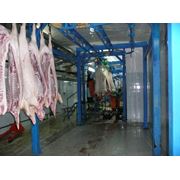 Монтаж оборудования для убоя и мясопереработки фото