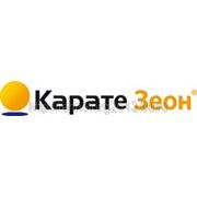 КАРАТЕ ЗЕОН фото