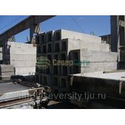 БДЛ 40.6 фото