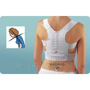 Магнитный корректор осанки - Magnetic Posture Support Размер XL фото