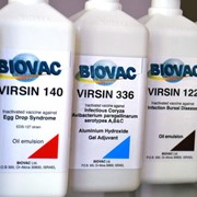 Вакцина Virsin 140 фото