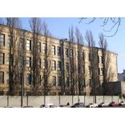 Риэлторские услуги фото