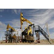Импорт и экспорт сырой нефти и нефтепродуктов фото