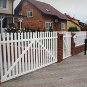 Изгороди фото