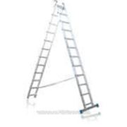 Лестница двухсекционная Tarko 2x13 01213 фото