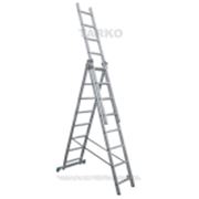 Лестница трехсекционная Tarko Prof 3х14 02314 фото
